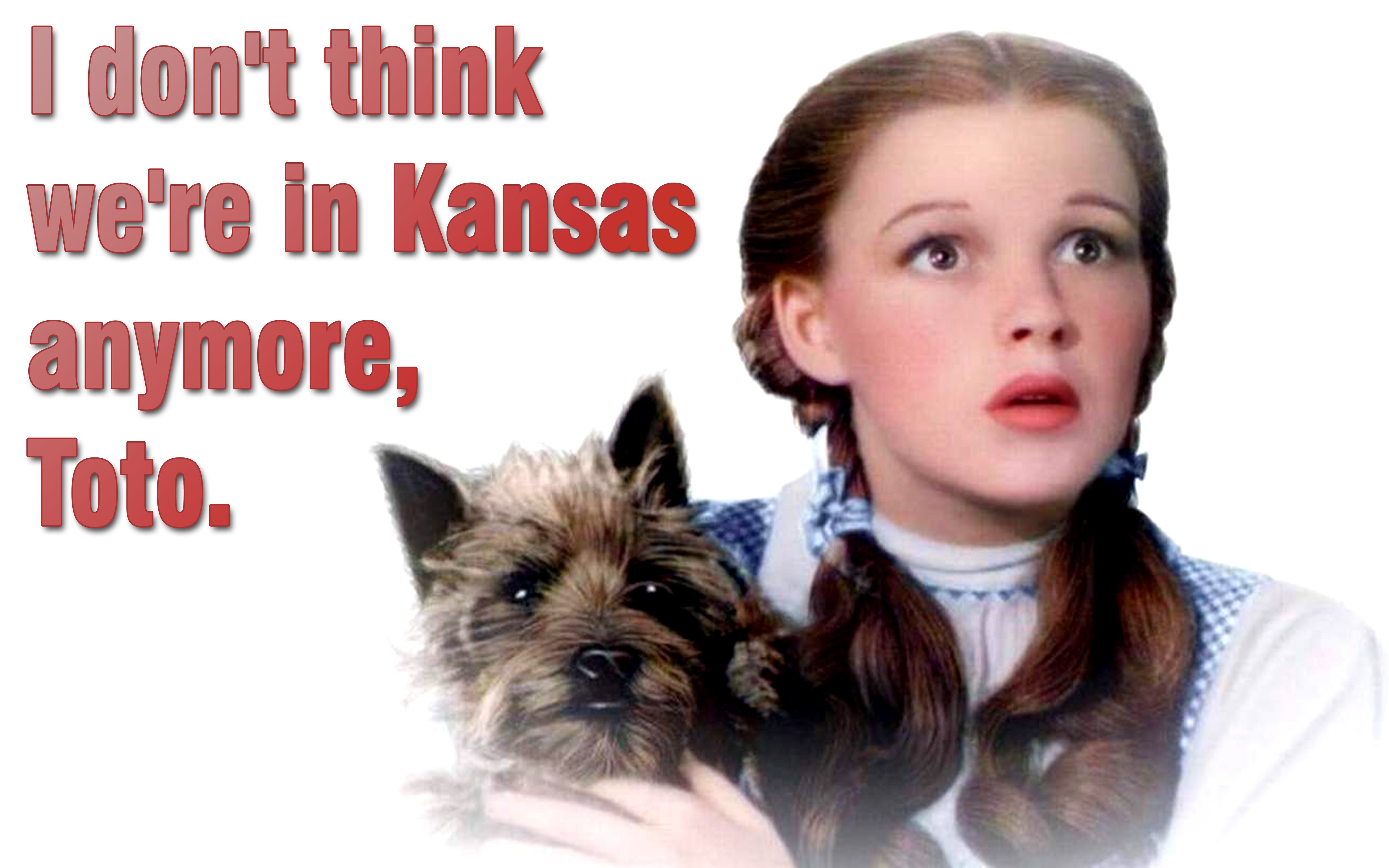 Don-t-think-we-are-in-Kansas-the-wizard-of-oz-40946774-4800-3000.jpg